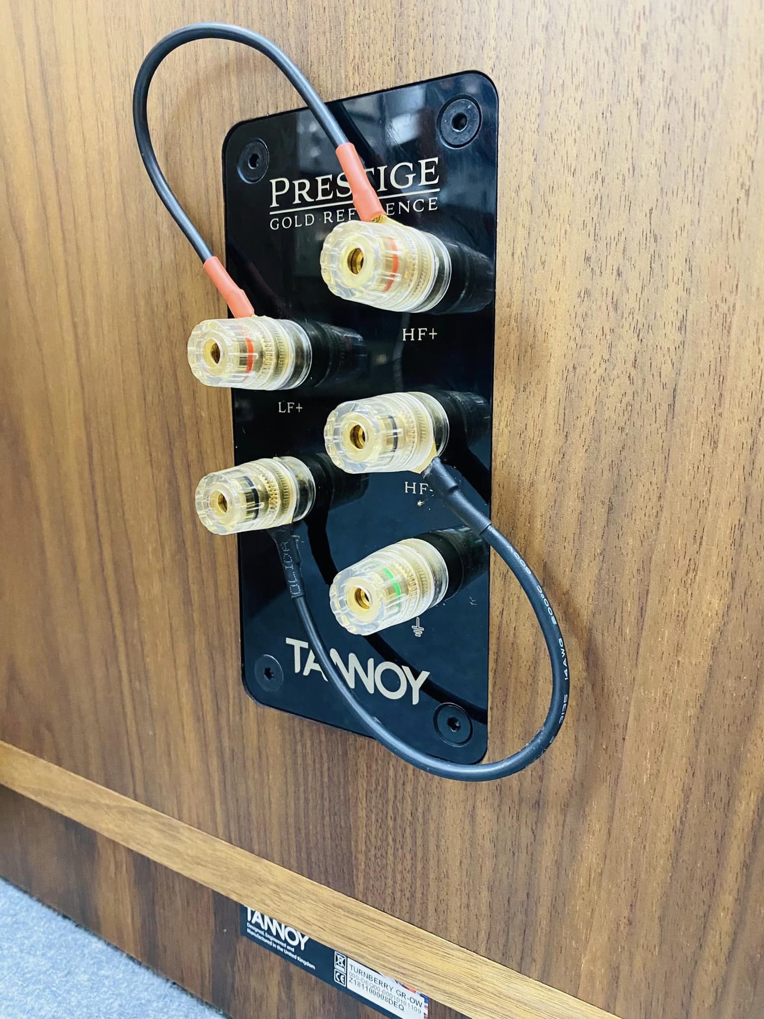TANNOY Turnberry GR cọc loa