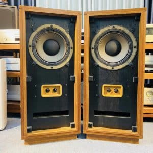 TANNOY GOLD 10 loa